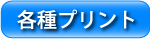 �e��v�����g